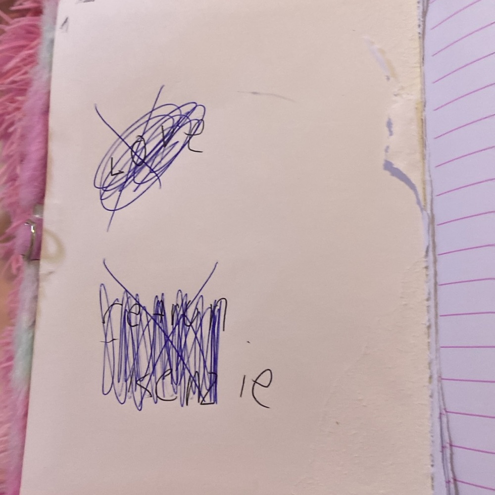 A journal - Picture 2 of 3